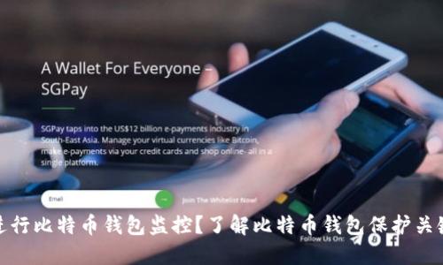 如何进行比特币钱包监控?了解比特币钱包保护关键策略