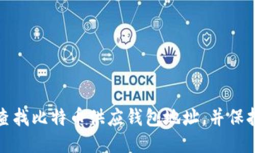 如何查找比特币供应钱包地址,并保持安全
