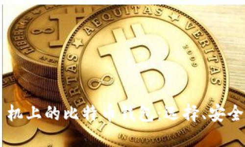 苹果手机上的比特币钱包:选择、安全与使用