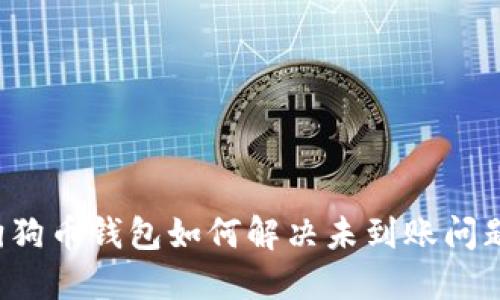 狗狗币钱包如何解决未到账问题?