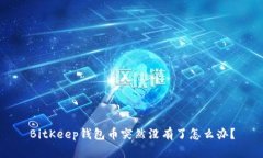 BitKeep钱包币突然没有了怎么办?
