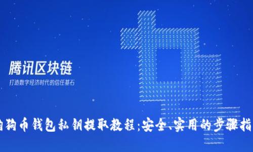 狗狗币钱包私钥提取教程:安全、实用的步骤指南