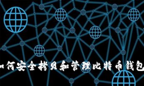 如何安全拷贝和管理比特币钱包?
