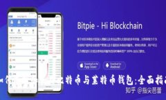 如何选择和使用比特币与莱特币钱包:全面指南