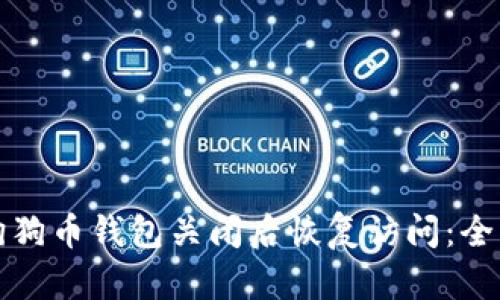 如何在狗狗币钱包关闭后恢复访问:全方位指南