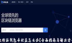 比特派钱包币被盗怎么办?全面指南与解决方案