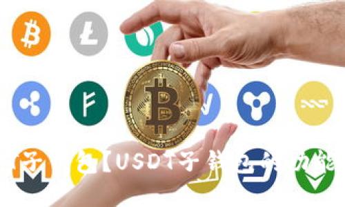 什么是USDT子钱包?USDT子钱包的功能与使用指南