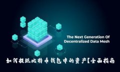 如何提现比特币钱包中的资产?全面指南