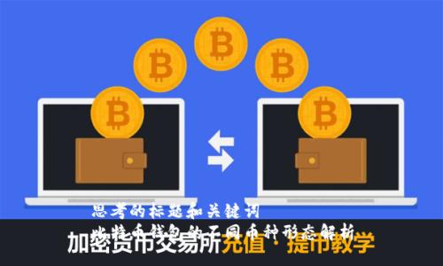 思考的标题和关键词
比特币钱包的不同币种形态解析