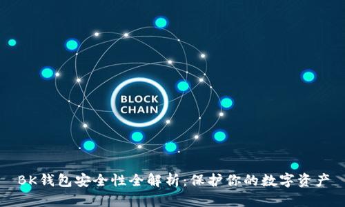 BK钱包安全性全解析:保护你的数字资产