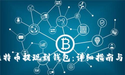 怎样将比特币提现到钱包:详细指南与注意事项