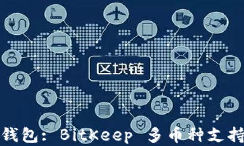 选择比特币钱包: BitKeep 多币种支持与使用指南