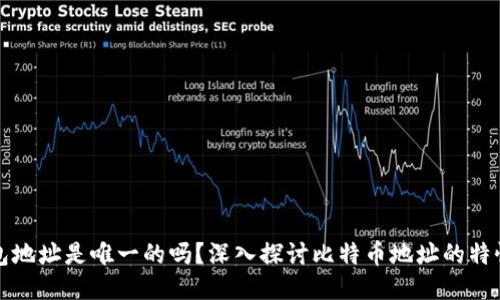 比特币钱包地址是唯一的吗?深入探讨比特币地址的特性及安全性
