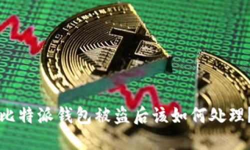 比特派钱包被盗后该如何处理?