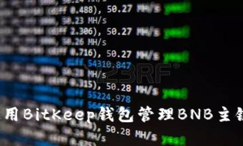 如何使用BitKeep钱包管理BNB主链资产?