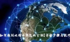 如何找到比特币钱包的公钥?详解步骤与技巧