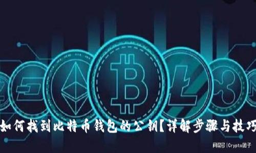 如何找到比特币钱包的公钥?详解步骤与技巧