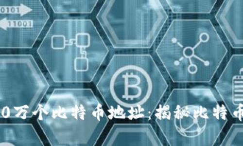 标题: 中本聪的100万个比特币地址:揭秘比特币创始人的财富秘密