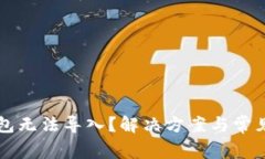 比特币钱包无法导入?解决方案与常见问题解析