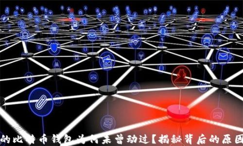 中本聪的比特币钱包为何未曾动过?揭秘背后的原因与影响