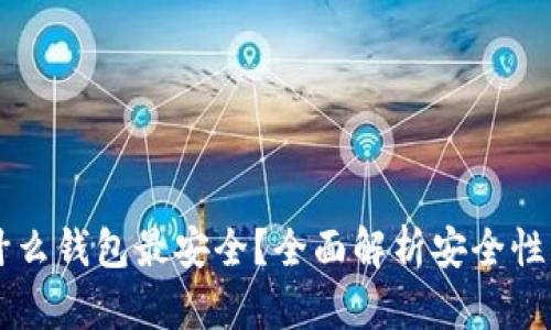 虚拟币用什么钱包最安全?全面解析安全性与选择标准
