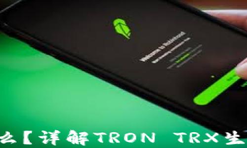 TRX钱包是什么?详解TRON TRX生态及使用指南