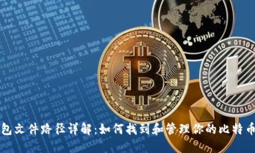 比特币钱包文件路径详解:如何找到和管理你的比特币钱包文件