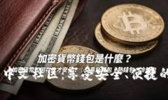 Pulse Token 钱包中文社区:享受安全、便捷的数字