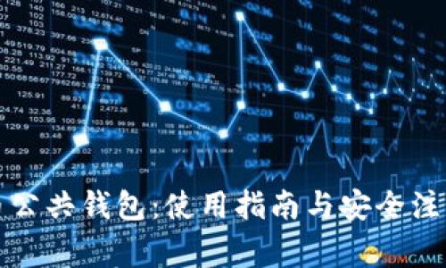 比特币公共钱包:使用指南与安全注意事项