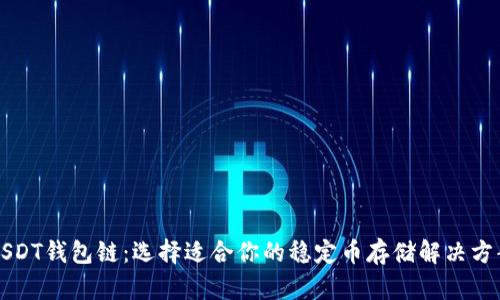 USDT钱包链:选择适合你的稳定币存储解决方案