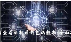 如何查看比特币钱包的数据:全面指南