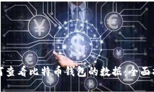 如何查看比特币钱包的数据:全面指南