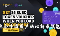如何选择适合中国用户的比特币钱包:全面指南