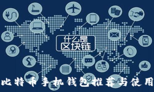 安卓比特币手机钱包推荐与使用指南