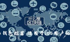 2023年最佳比特币钱包推荐:适用于iOS用户的安全