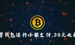 如何利用数字钱包进行小额支付,30元也能买到好