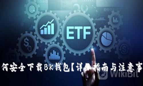 如何安全下载BK钱包?详细指南与注意事项