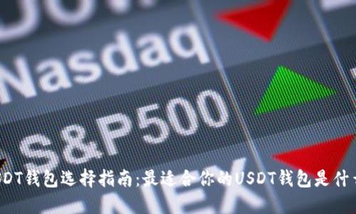 USDT钱包选择指南:最适合你的USDT钱包是什么?