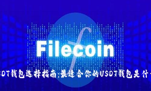 USDT钱包选择指南:最适合你的USDT钱包是什么?