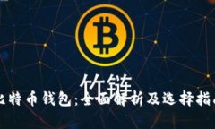 比特币钱包:全面解析及选择指南