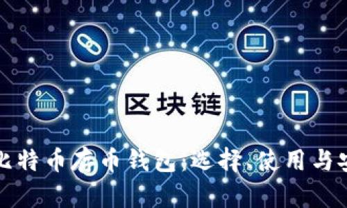 全面解析比特币存币钱包:选择、使用与安全性指南
