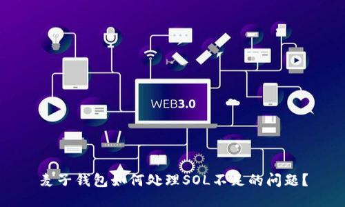 麦子钱包如何处理SOL不足的问题?