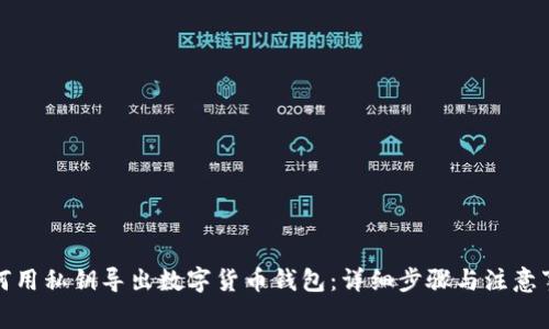 如何用私钥导出数字货币钱包:详细步骤与注意事项