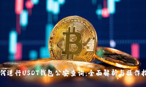 如何进行USDT钱包公安查询:全面解析与操作指南