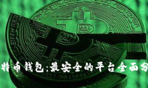 比特币钱包:最安全的平台全面分析