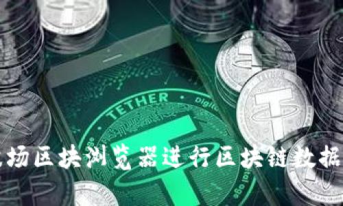 如何使用波场区块浏览器进行区块链数据查询与分析
