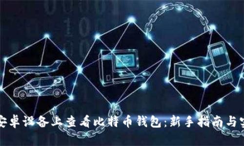 如何在安卓设备上查看比特币钱包:新手指南与实用技巧