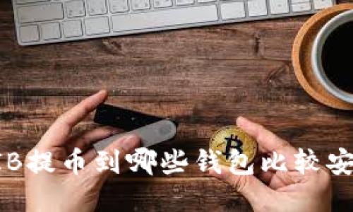 SHIB提币到哪些钱包比较安全?