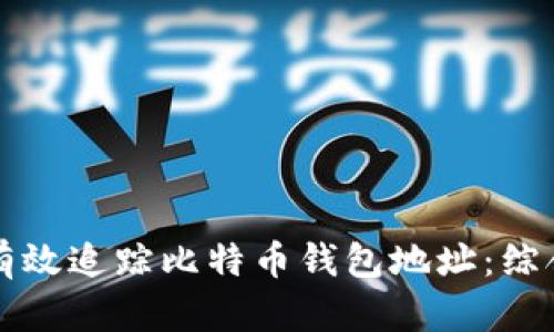 如何有效追踪比特币钱包地址:综合指南