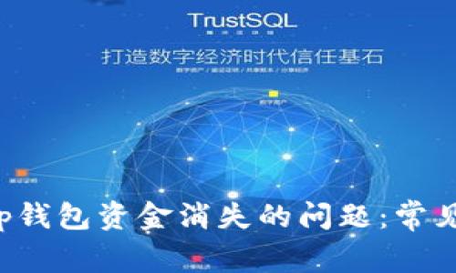 如何解决BitKeep钱包资金消失的问题:常见原因及应对措施